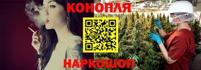 спиды Кингисепп
