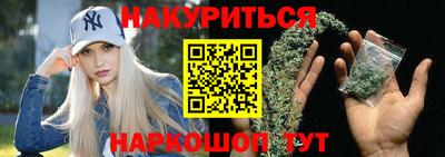спиды Кингисепп