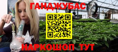 спиды Кингисепп