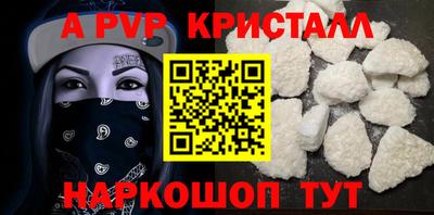спиды Кингисепп