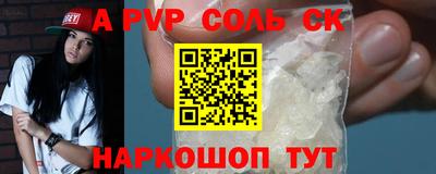 спиды Кингисепп
