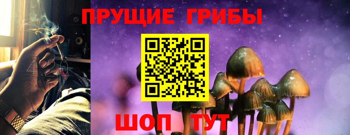 Галлюциногенные грибы Magic Shrooms Чита