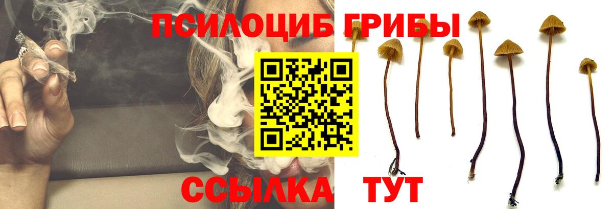 Псилоцибиновые грибы прущие грибы  Вход с VPN  Псилоцибиновые грибы Psilocybine cubensis  Чита 
